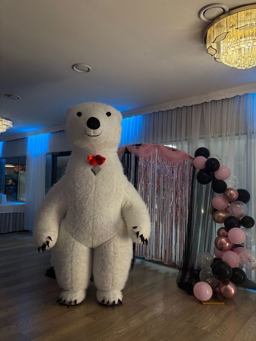 Biały miś Teodor rozkręci twoją imprezę!