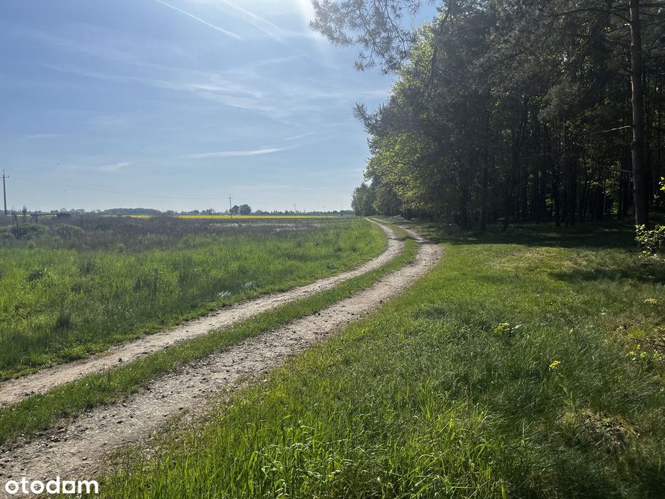 Zainwestuj w przestrzeń | 1,95ha pod dom lub siedlisko | Bychowo