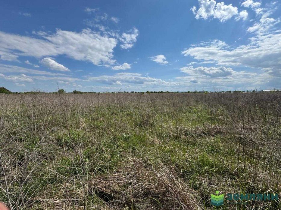 Продається ділянка 6 сот під будівництво в с.Чукалівці (6)