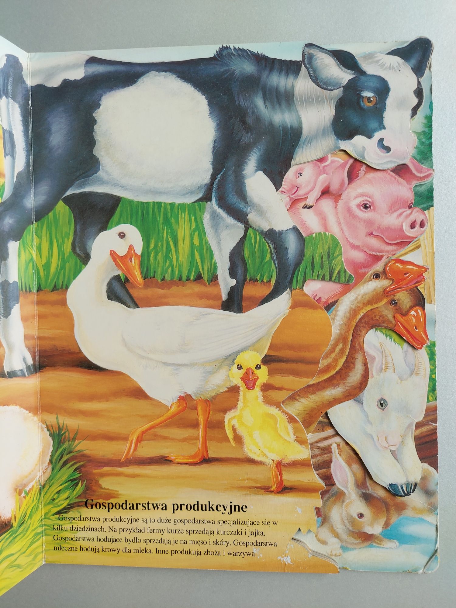 Zwierzęta w gospodarstwie wiejskim - Książka dla dzieci