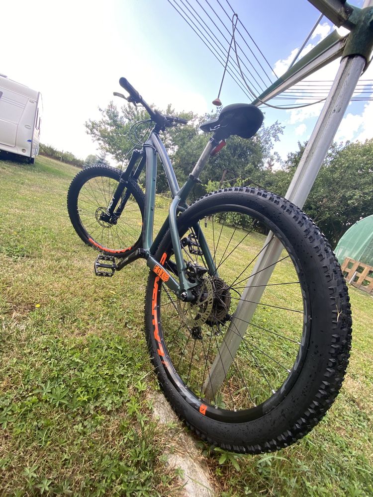 Dartmoor Hornet 2019 M