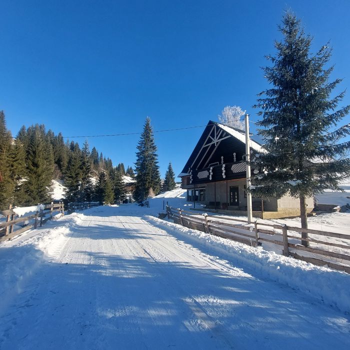 Synevyr House Житло подобово