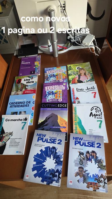 Manuais e livros de atividades do 7o, 6o, 5o e 4o ano