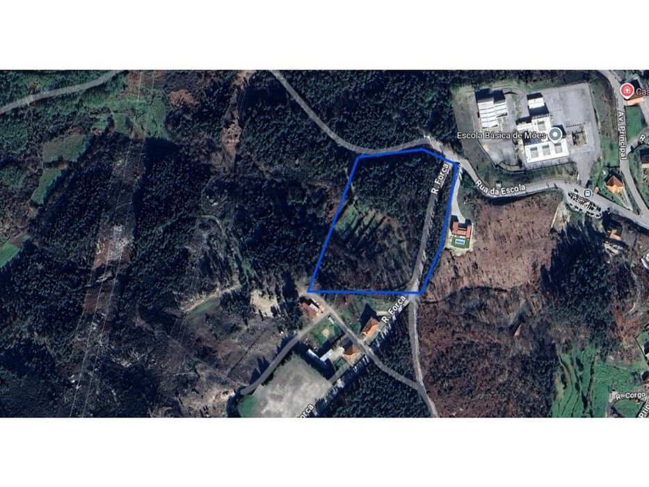 Terreno para venda em Mões - Castro Daire