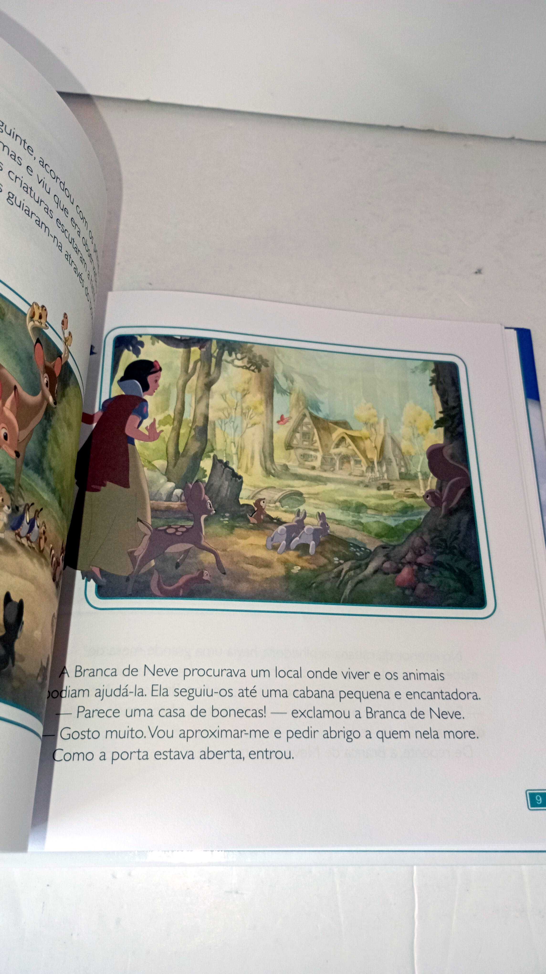 Branca de Neve e os sete Anões - Conto Solidário
