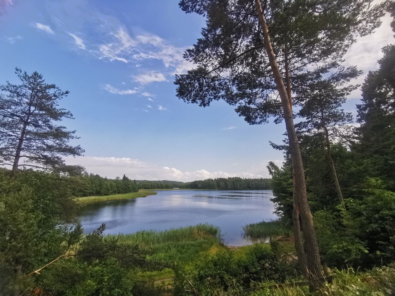 Wynajmę domek letniskowy całoroczny w lesie nad jeziorem