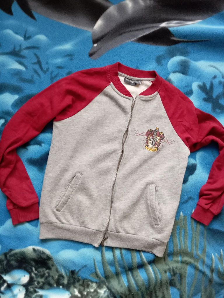 Bluza Harry Potter S