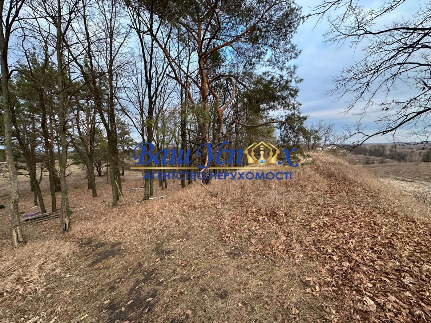 Продаж земли сільгосппризначення  Школьная , село Ходосовка