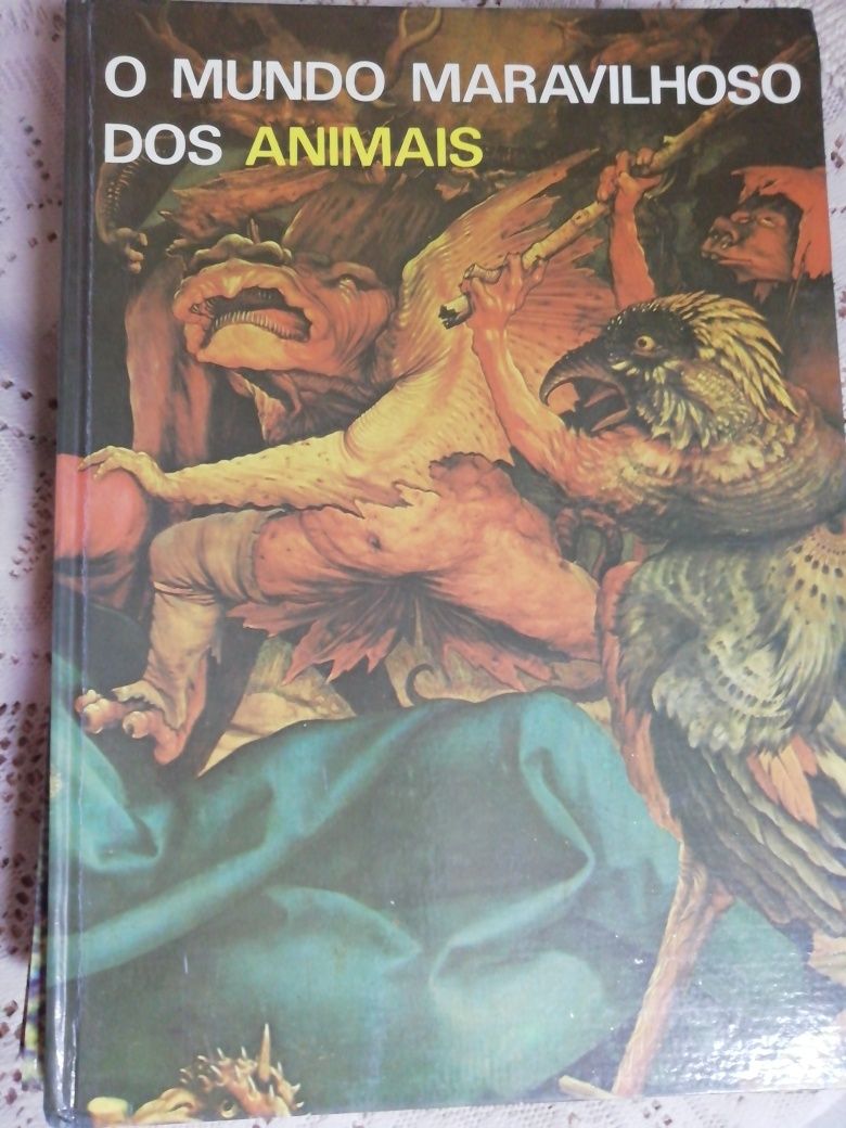 O Mundo Maravilhoso dos Animais