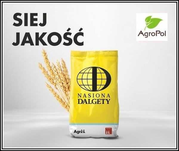 Pszenżyto Ozime MEDALION - Odmiana Bezostna Na Słabe Gleby - Nasiona