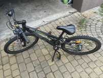 Rower dziecięcy Arkus beryl 240
