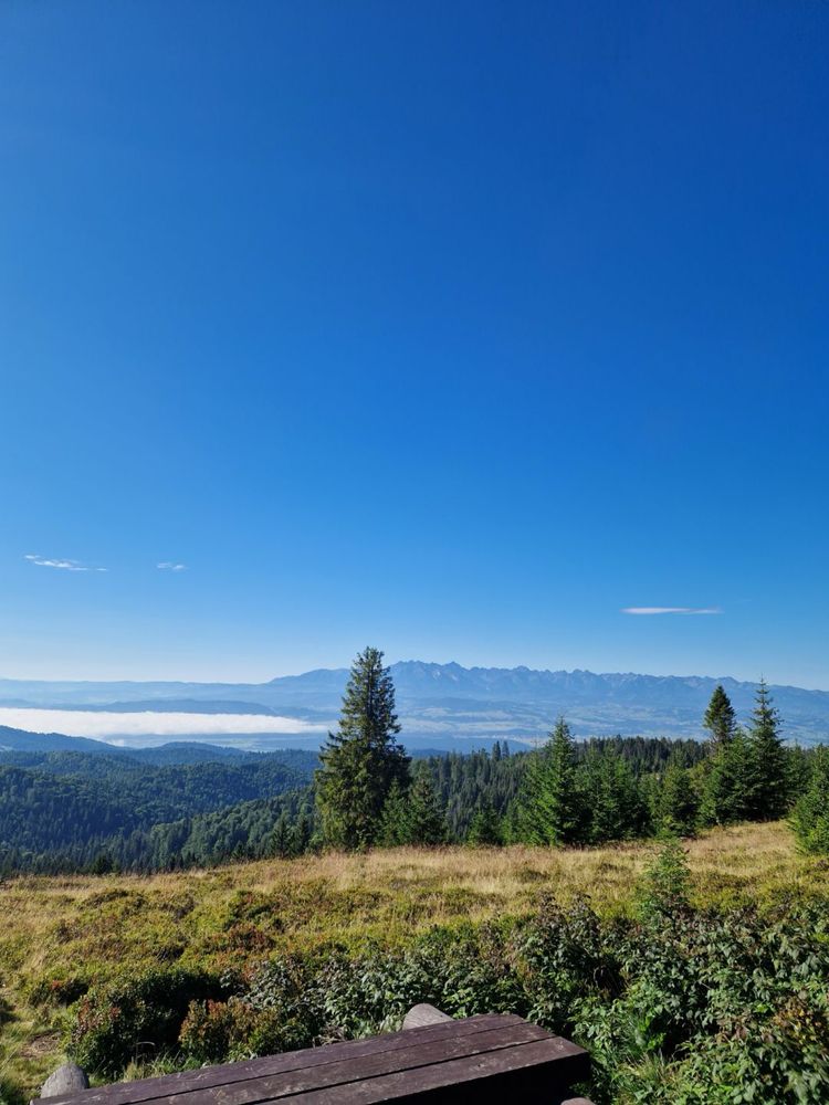 Domek w gorcach do wynajecia