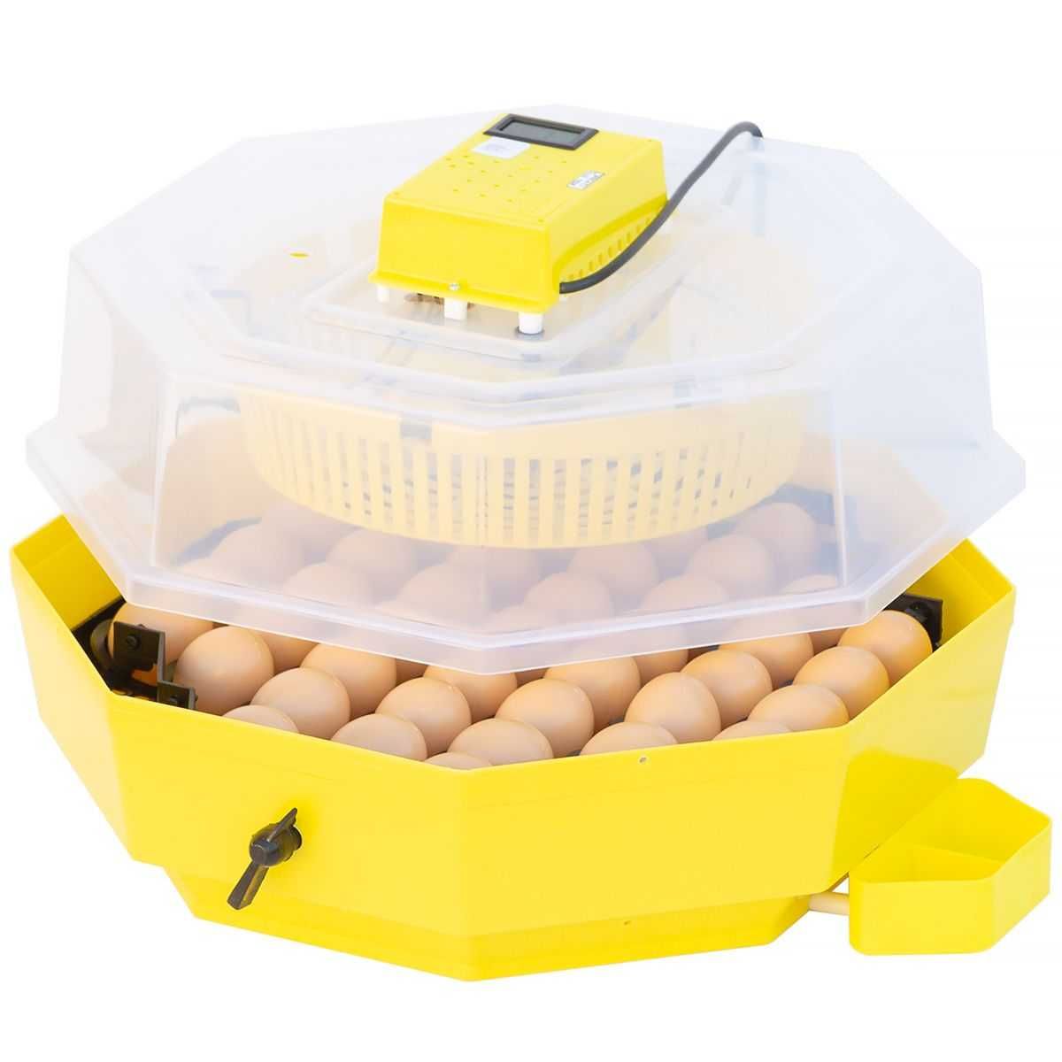 Inkubator lęgowy iBator HOME 60 z wyświetlaczem i tacą półautomatyczną