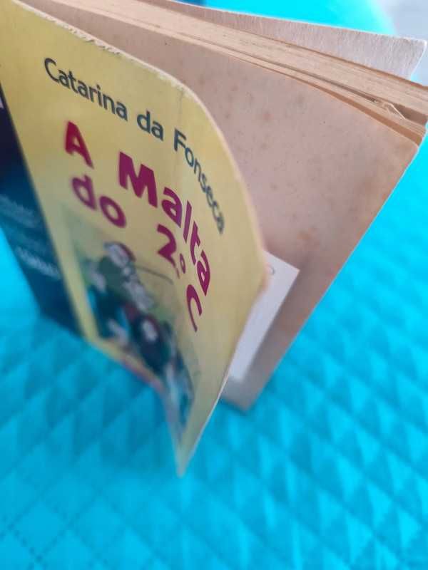 Livro A malta do 2°C