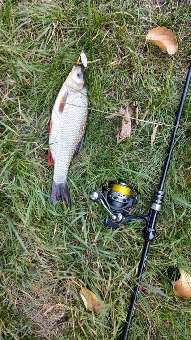 Wędka spining czteroskładowy 1-5 gramów 2 metry długości