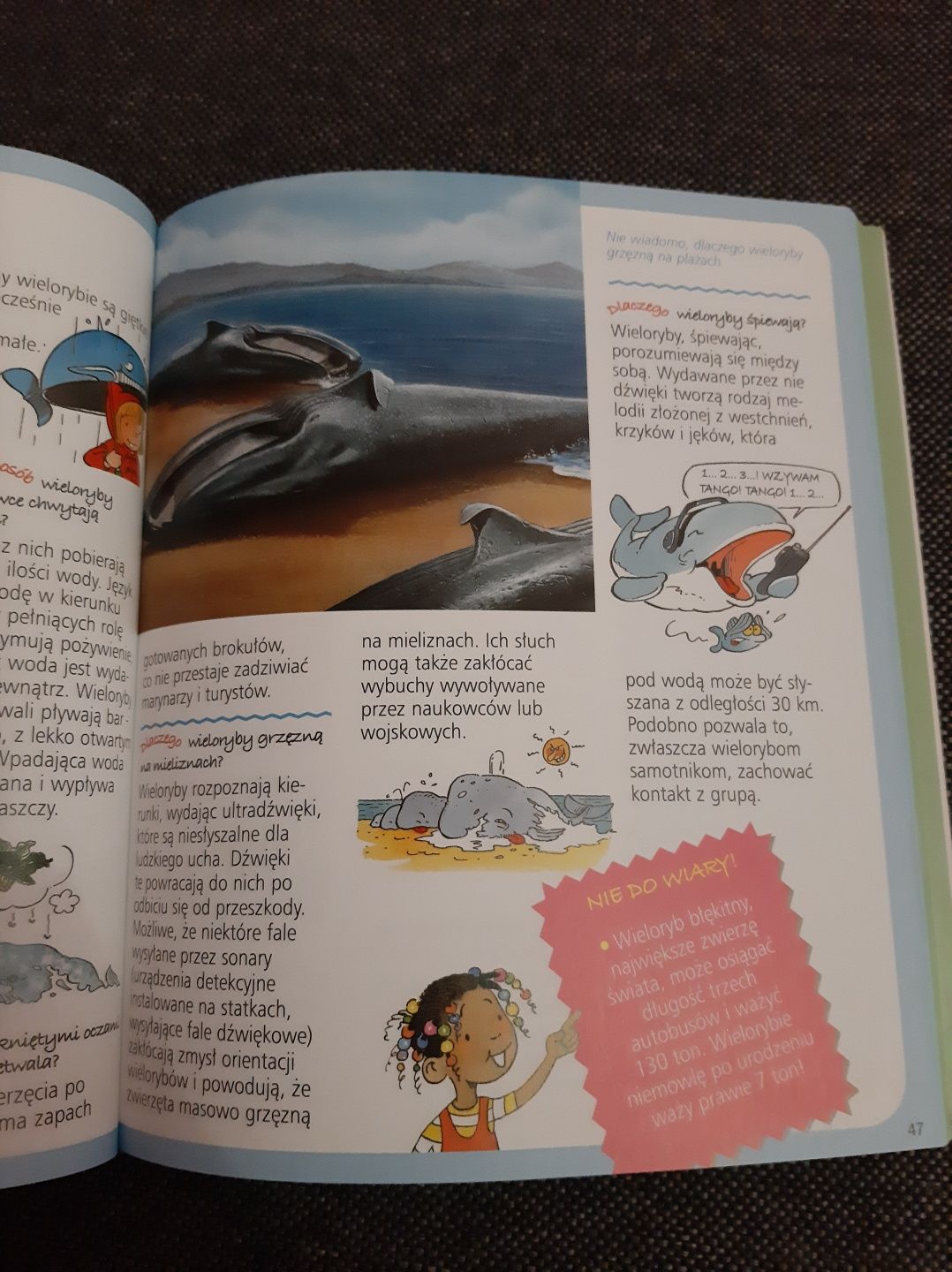 Morze obrazkowa encyklopedia dla dzieci