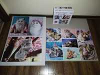 Puzzle 3w1 500,500,1000 Limited Edition Kittens Trefl