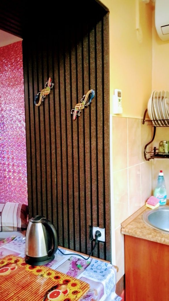 ПОЧАСОВО, ПОСУТОЧНО, 1 к. студия на пр. Центральном 124 А, Wi-Fi, доки