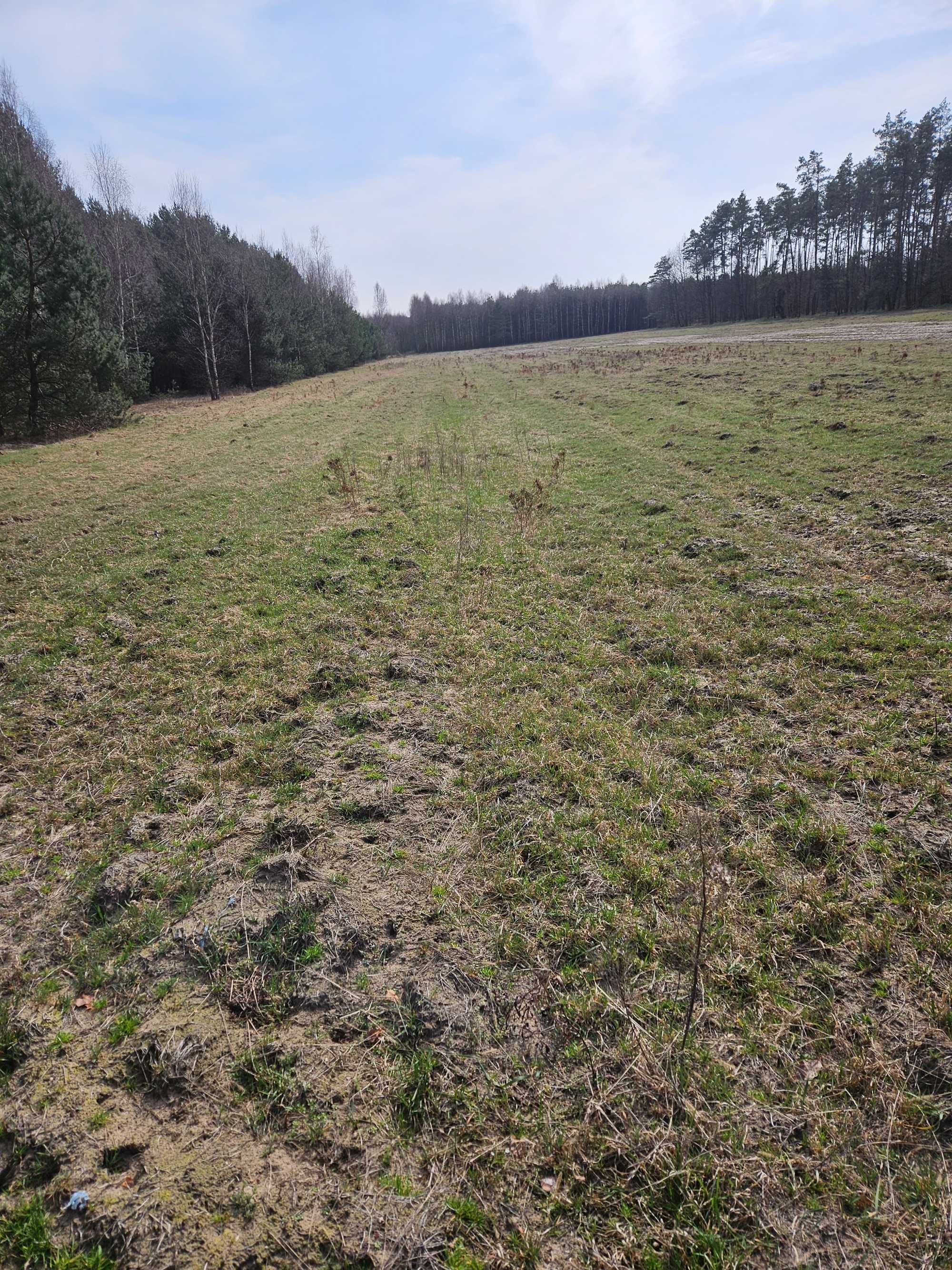 Sprzedam działkę rolną w Smykowie 2,13ha gm.Fałków pow.konecki