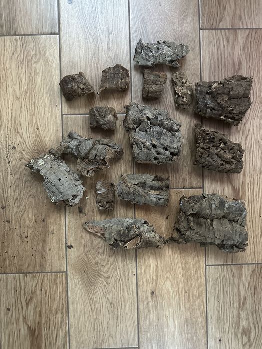 Kawałki kory dębu terrarium