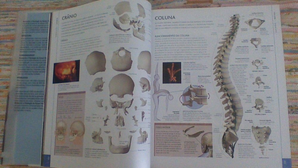 Livro " ANOTOMIA e Fisiologia do CORPO HUMANO"