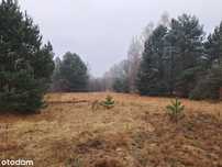 Sulejówek - 9.700m2, ciekawa lokalizacja, warunki zabudowy.