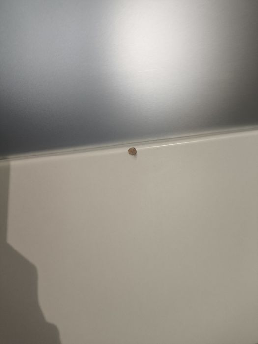 Drzwi wewnętrzne lewe 70cm/80cm z szybą, pojedynczo lub w zestawie