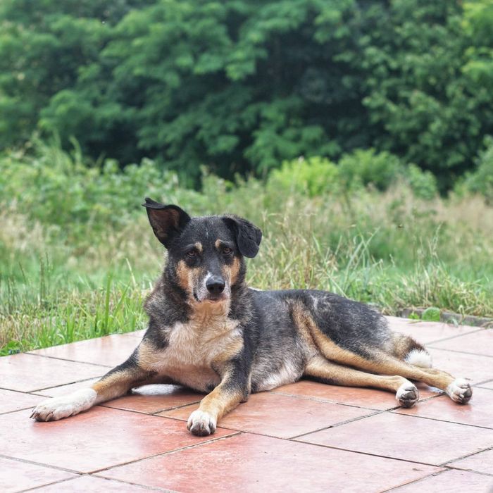 Roxi czeka na Ciebie