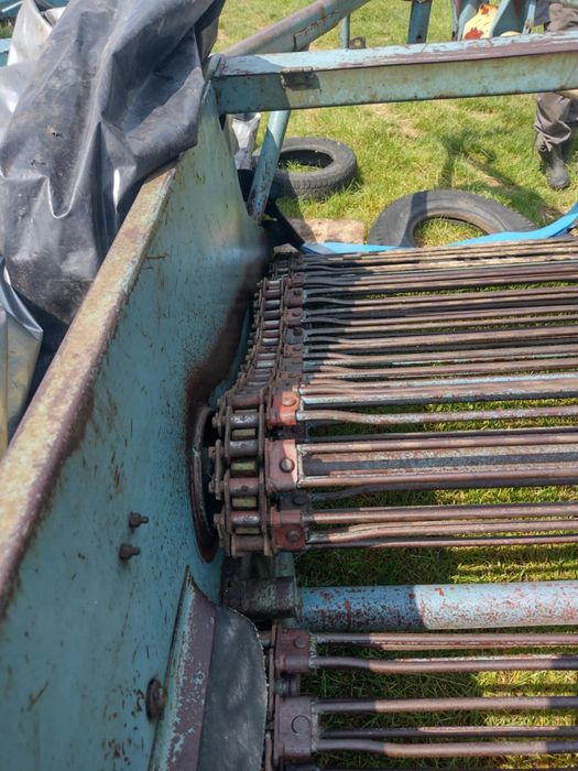Kopaczka elewatorowa do ziemniaków