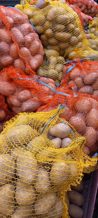 Sprzedam ziemniaki jadalne