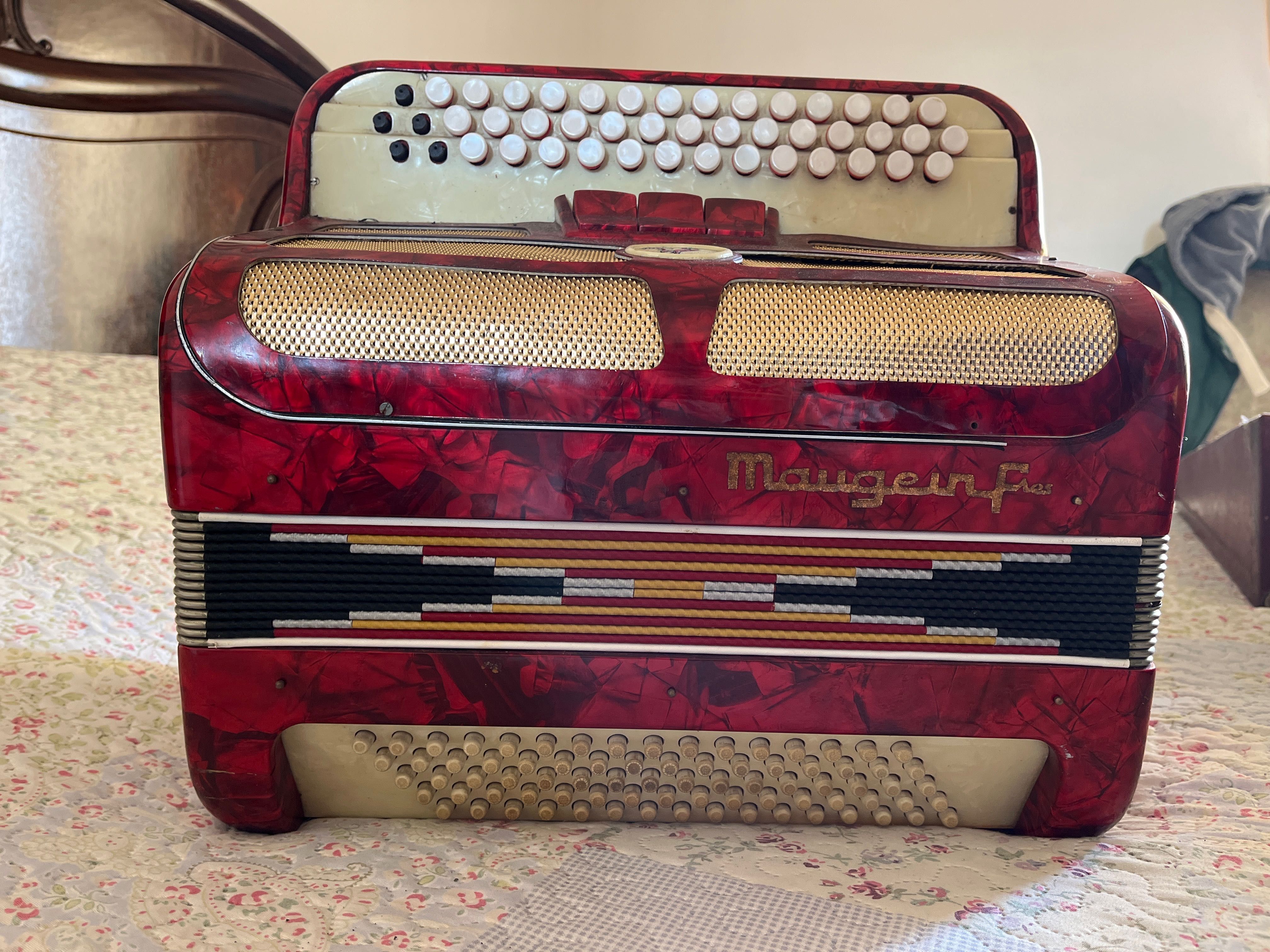 Vendo concertina HERCULE