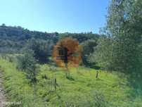 Terreno Rustico Com 6.520 M2 - Junto A Linha Da Agua - Pisa Barro -...