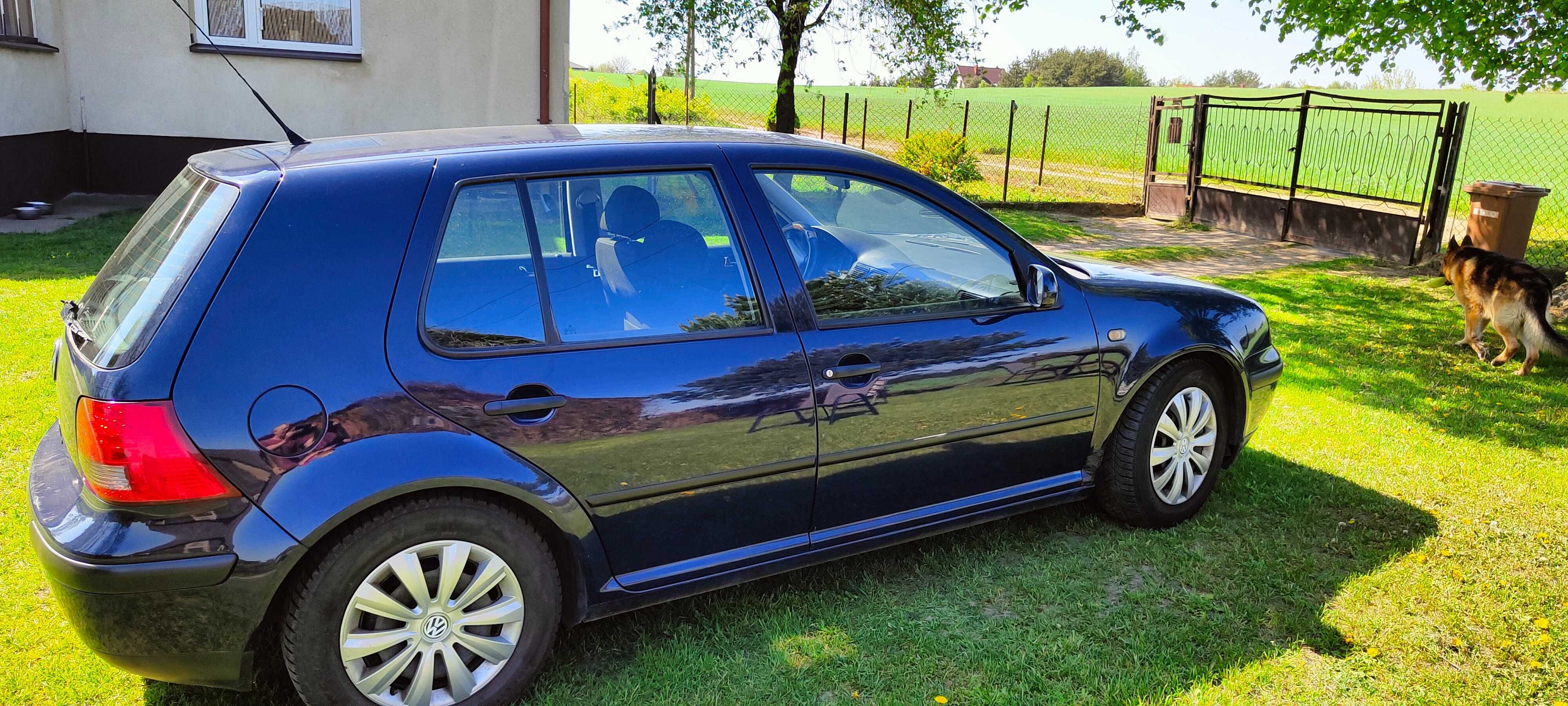 Volkswagen Golf 4 1,6 SR benzyna 1998 r