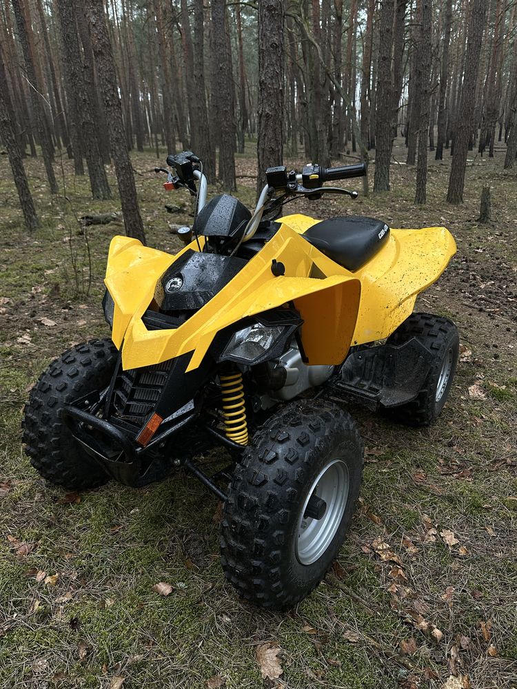 quad Can am ds 250