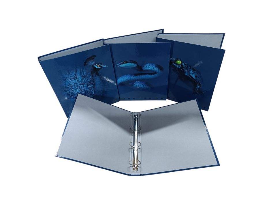 Segregator A4 Monocromo Blue do szkoły i biura