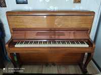Pianino Calisia mahoń