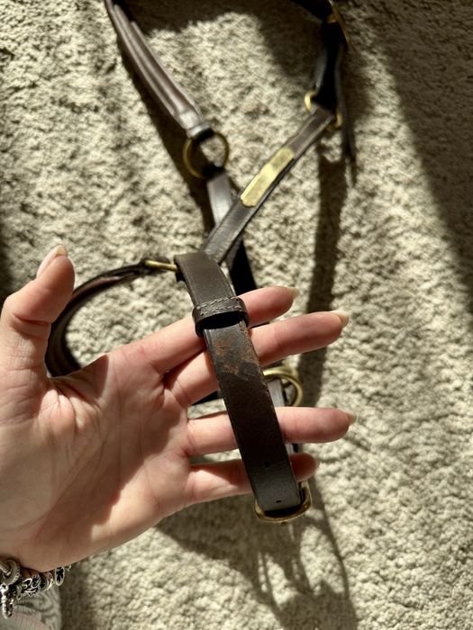 Skórzany grooming kantar Norton