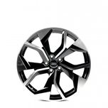 Диски Volkswagen Tiguan II (AD/BW) R19