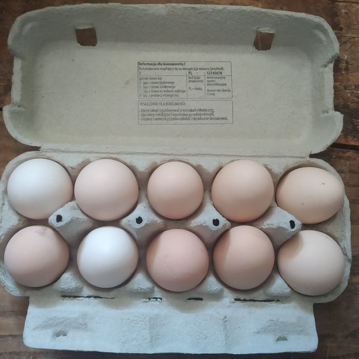 Jaja od kur z wolnego wybiegu
