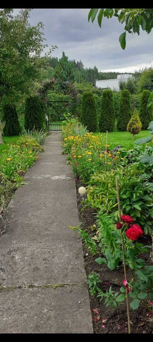 Sprzedam działkę ROD ,Semafor" w Olsztynie