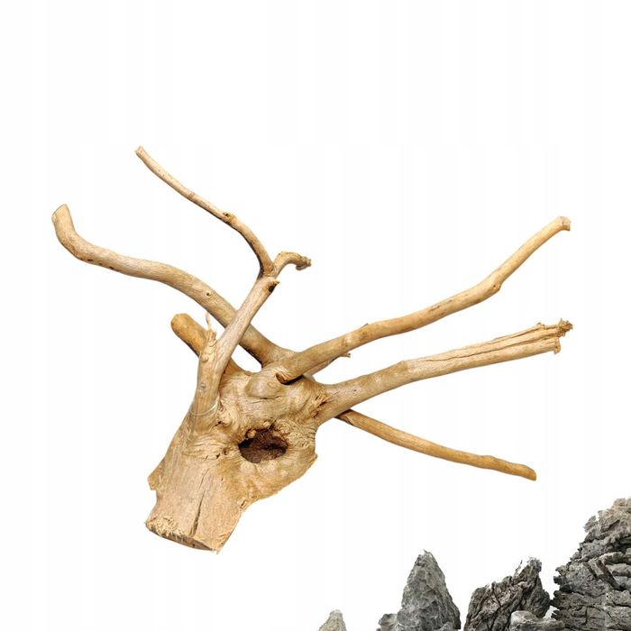 Korzeń Akwariowy - Red Moor - 28x17x11 cm Korzeń do akwarium DEKORACJA