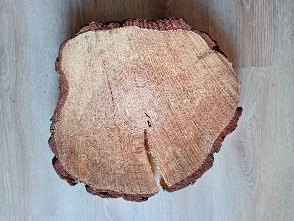 Piękny Plaster Drewna, blat na stylowy stolik, podstawka, styl Loft