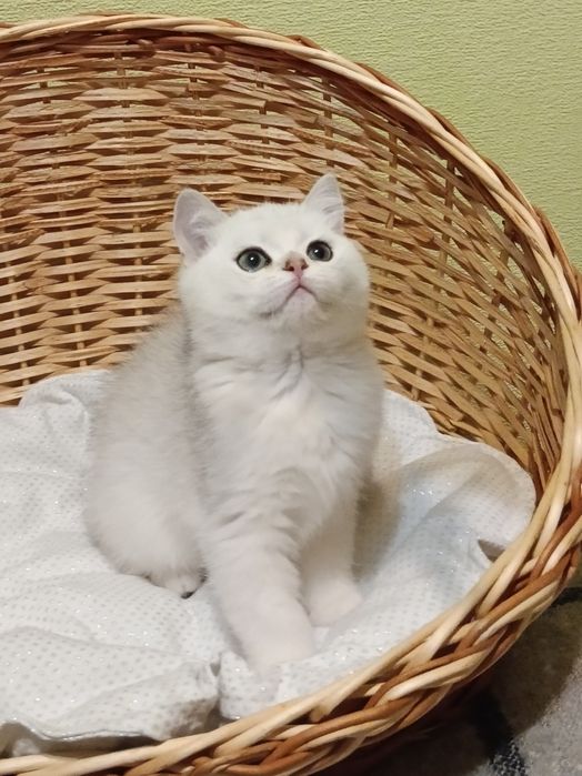 Чекаю тебе моя мамулічка