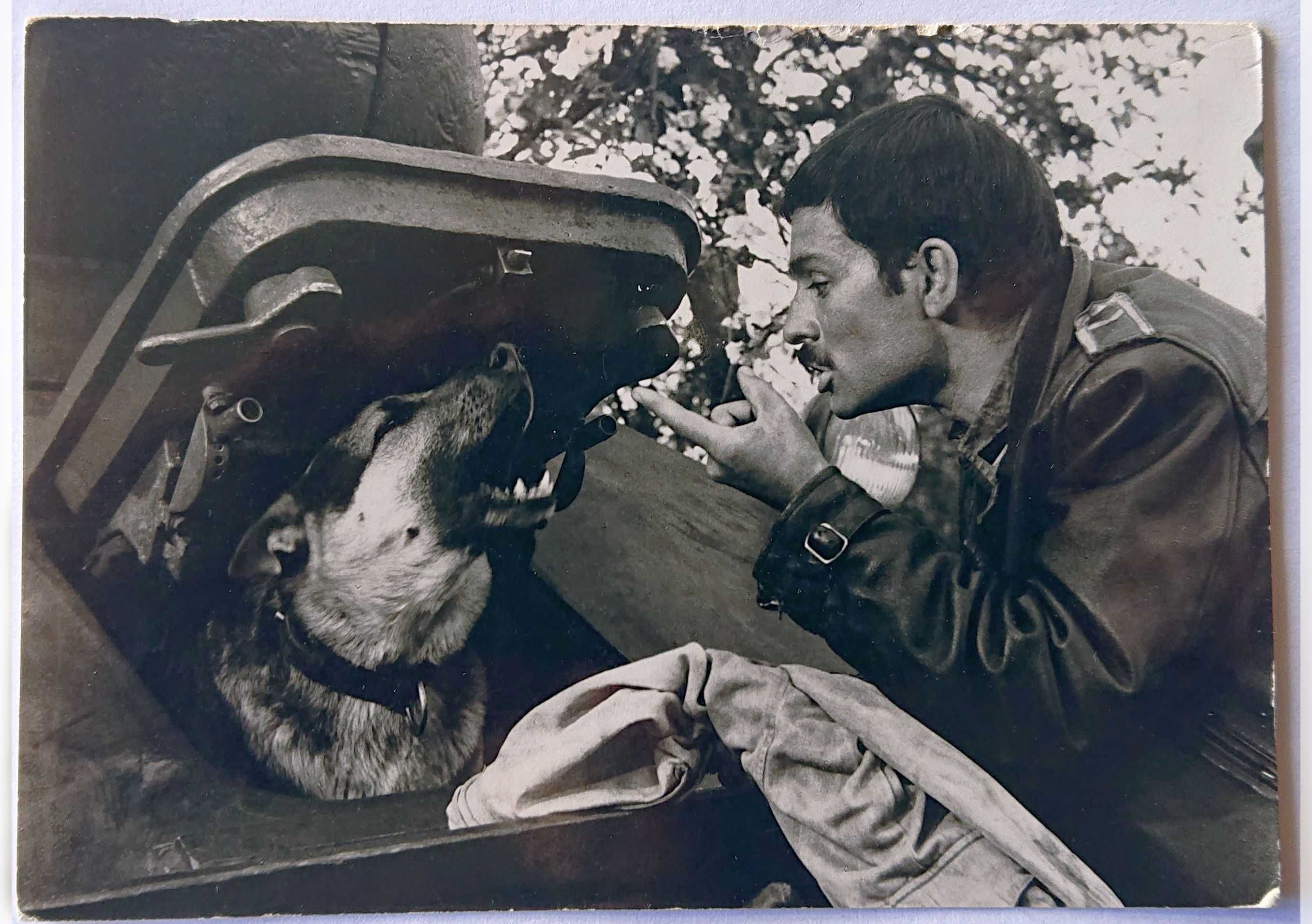 Kartka pocztowa - Czterej pancerni i pies - RUCH czysta - 1970 - Nr 52