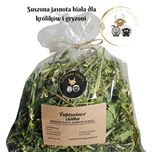 Suszone ziele jasnoty białej zioło dla królika, szynszyli, świnki 100g