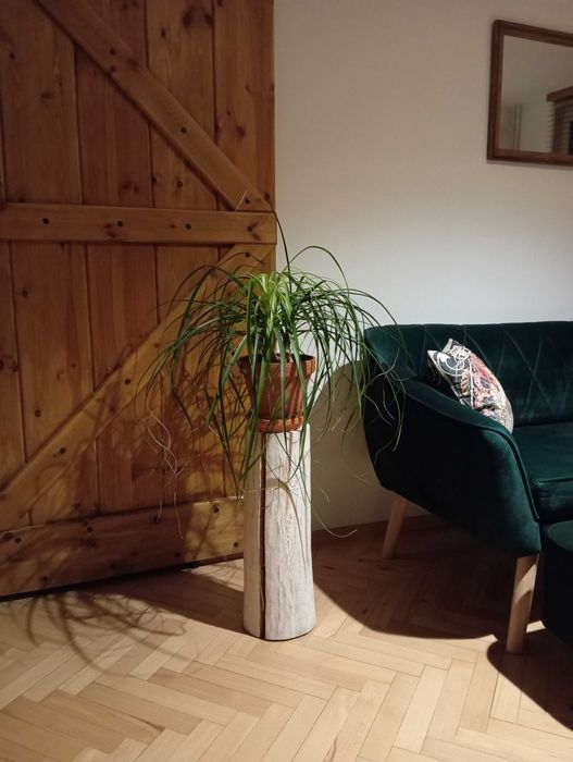 Drewniany pieniek kwietnik stojak na kwiaty dekoracja loft rustykalny