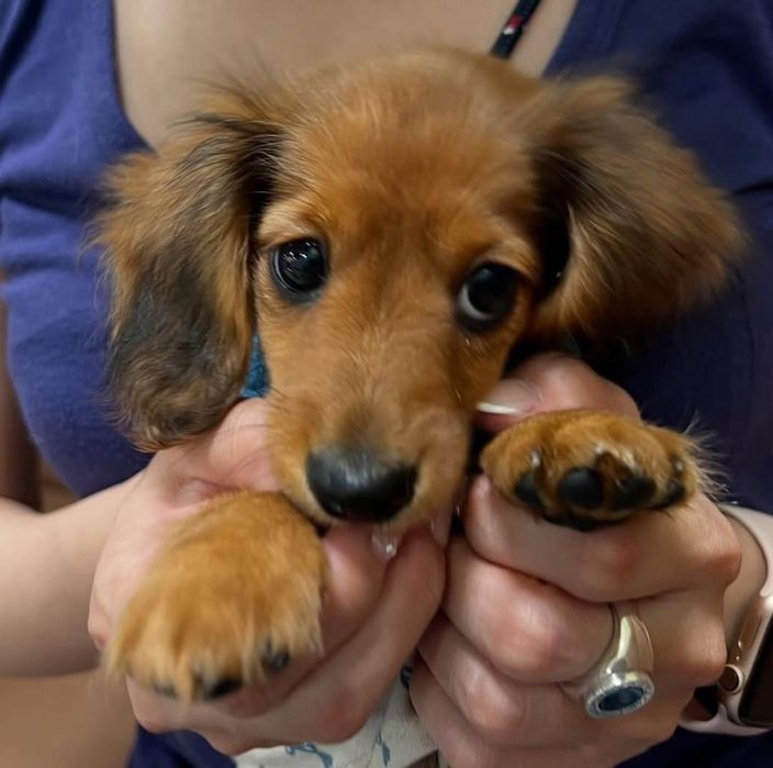 Дитина з хорошим люблячим характером.