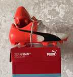 Бутси Puma Evospeed