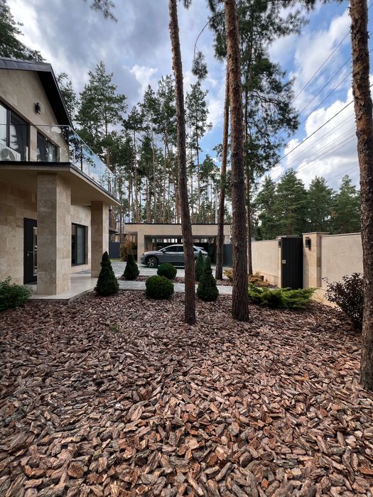 Ліс, тиша, басейн, баня, камін — все, що треба для життя. Лісова Буча