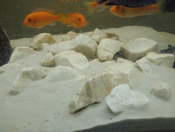 5 kg kamienia białego do akwarium